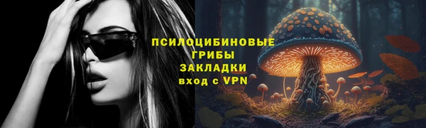 кокс Каменка