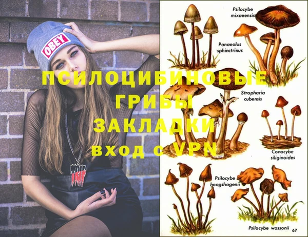 MDMA Каменногорск