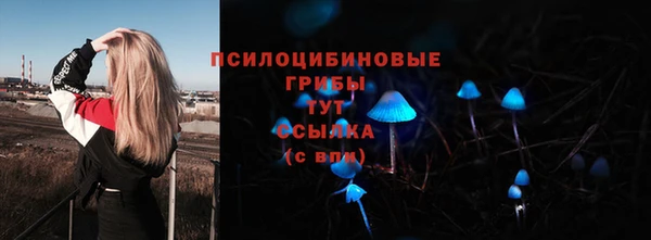 MDMA Каменногорск