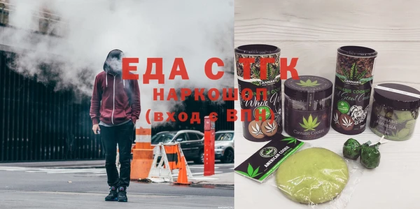 мдпв Инсар