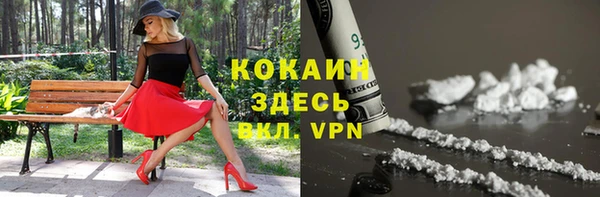 сатива Каменск-Шахтинский