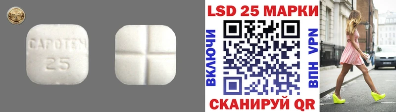 LSD-25 экстази кислота  гидра   Каргат 