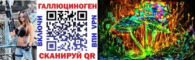 где купить   Каргат  Галлюциногенные грибы Cubensis 